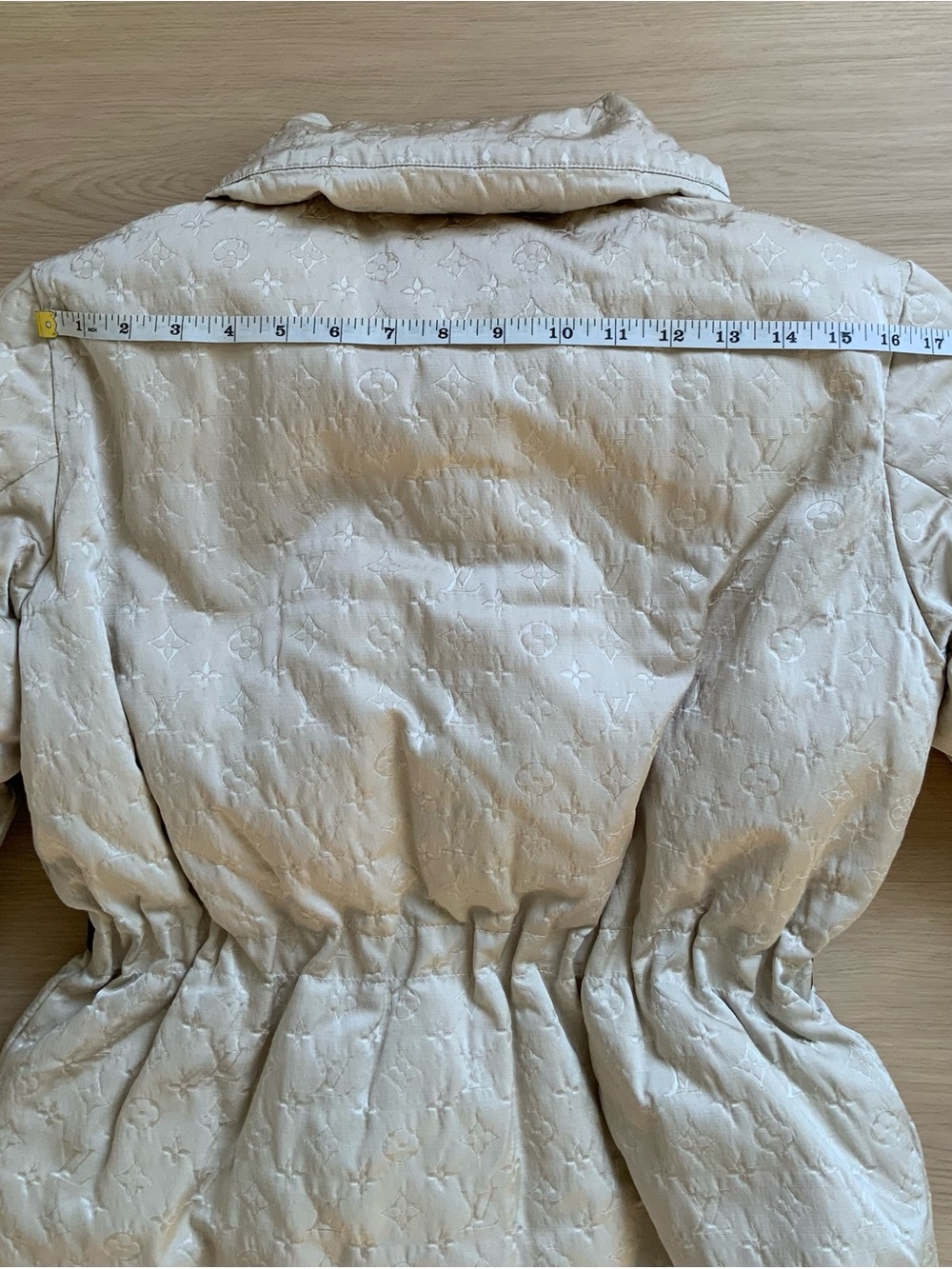 Louis Vuitton monogram goose down bomber jacket - Picture 4 of 16